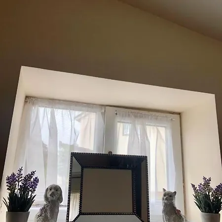 Beautiful Apartment