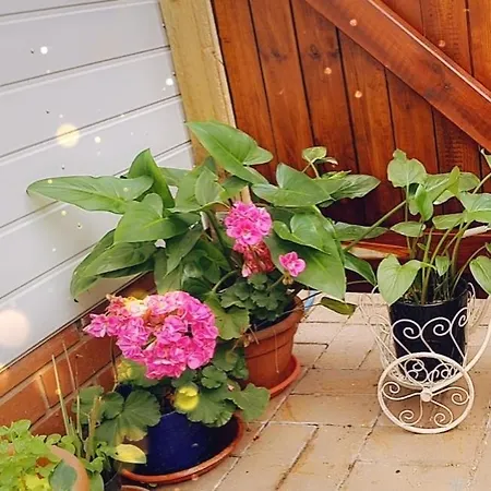 Beautiful Apartment Bristol