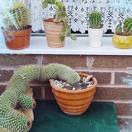 Beautiful 아파트 브리스틀