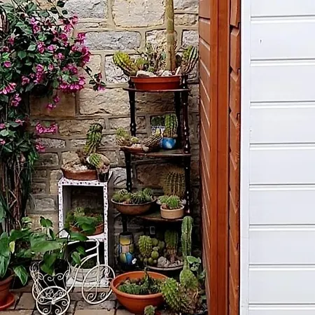 Beautiful 브리스틀