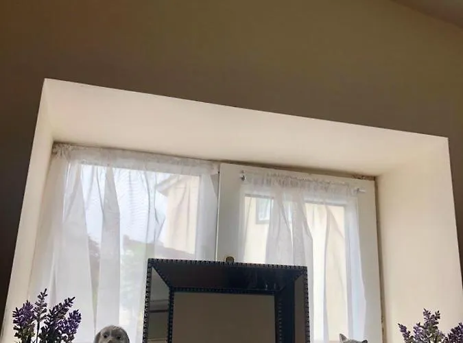 Beautiful Apartament