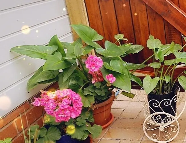 Beautiful Apartment Bristol