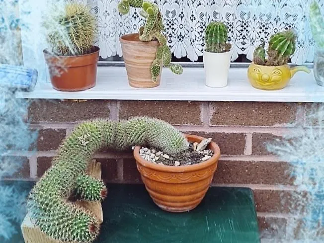 Beautiful Apartamento Bristol