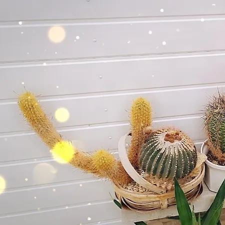 Apartment Beautiful *